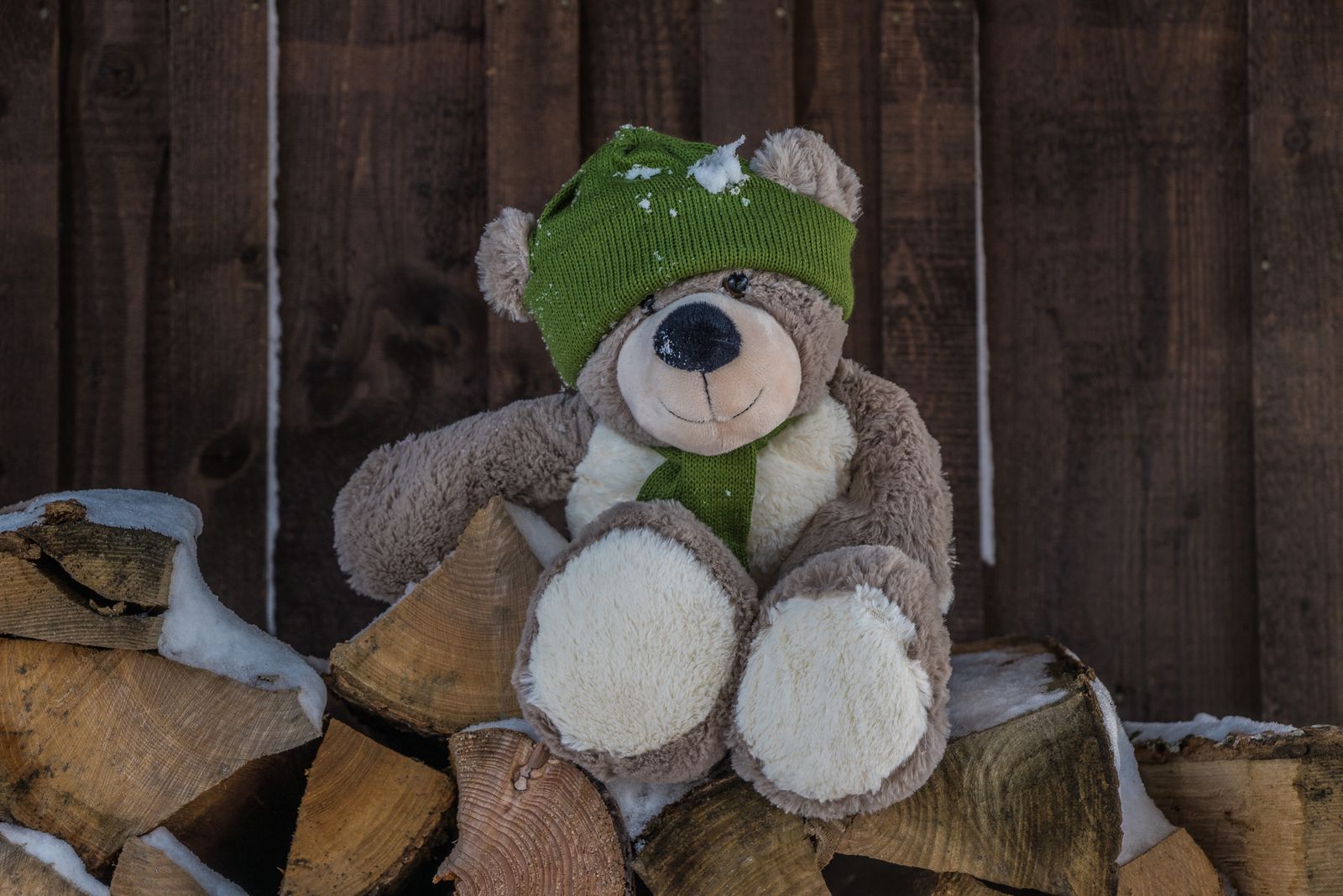 A teddy bear in a green knit hat sitting on firewood